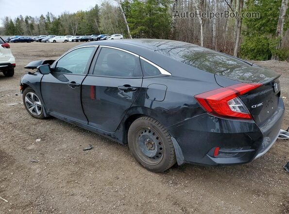 2HGFC2F54LH034105 2020 HONDA CIVIC Black Tył lewy