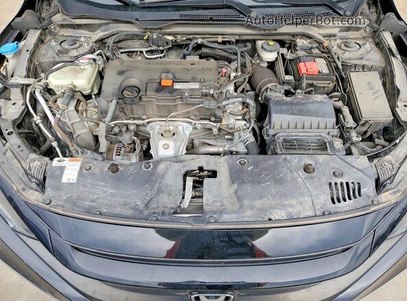 2HGFC2F66MH526418 2021 HONDA CIVIC Black უკანა სალონის ხედი