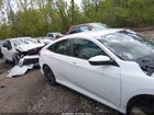 2020 Honda Civic Sport Белый vin: 2HGFC2F81LH551310