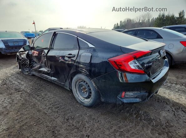 2HGFC2F82LH034405 2020 HONDA CIVIC Black Tył lewy