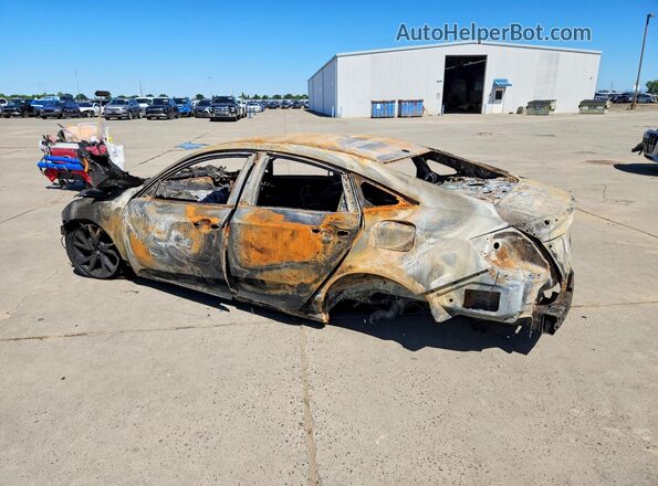 2HGFC2F84LH551107 2020 HONDA CIVIC Burn Задня ліва чверть