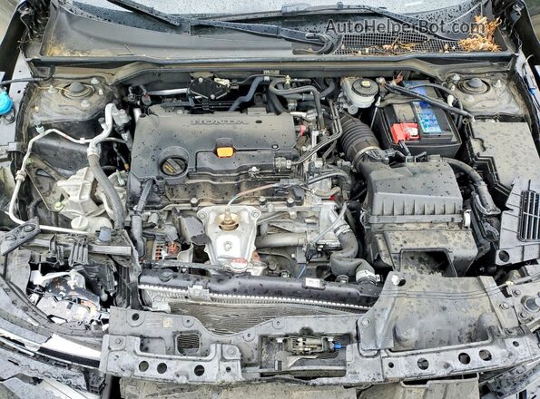 2HGFE2F58RH509516 2024 HONDA CIVIC Черный Вид задней части салона