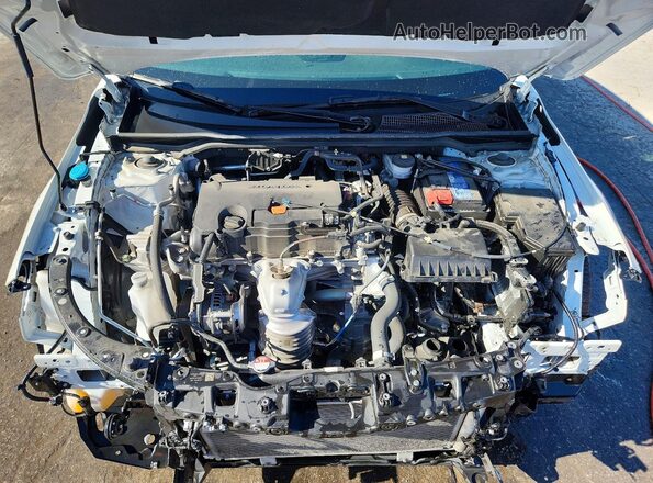 2HGFE2F59RH595144 2024 HONDA CIVIC White Widok wnętrza z tyłu
