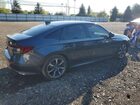 2026 Honda Civic Sport Gray vin: 2HGFE4F81TH304276
