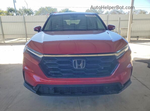 2HKRS3H78RH313253 2024 HONDA CR-V Красный Вид спереди