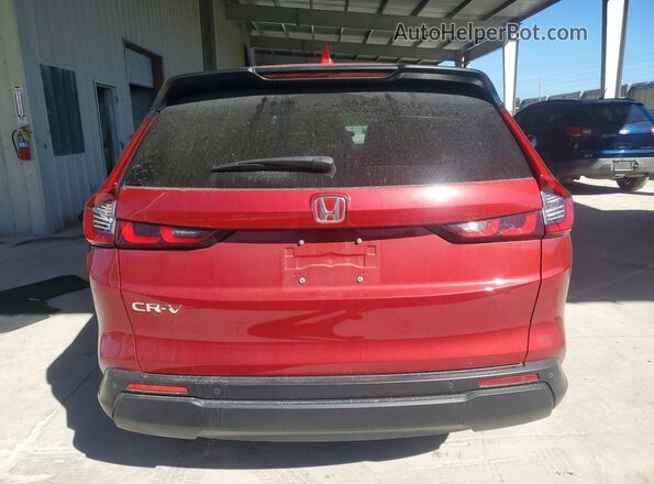 2HKRS3H78RH313253 2024 HONDA CR-V Красный Вид сзади