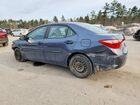 2017 Toyota Corolla Le Серый vin: 2T1BURHE0HC934663