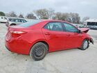 2019 Toyota Corolla Le Red vin: 2T1BURHE0KC150071