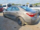2017 Toyota Corolla Le Серый vin: 2T1BURHE1HC944182