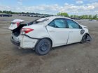 2019 Toyota Corolla Le White vin: 2T1BURHE1KC191485 2019 Toyota Corolla Le White vin: 2T1BURHE1KC191485