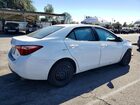 2019 Toyota Corolla Le White vin: 2T1BURHE3KC237785