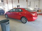 2016 Toyota Corolla Le Red vin: 2T1BURHE4GC646191