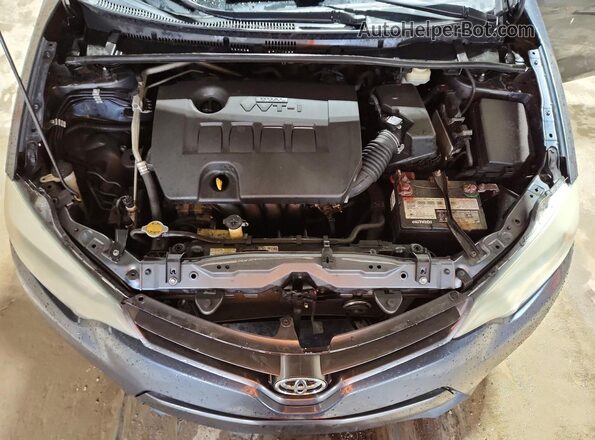 2T1BURHE5GC673027 2016 TOYOTA LL Синий Вид задней части салона