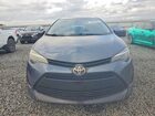 2019 Toyota Corolla Le Blue vin: 2T1BURHE6KC135476