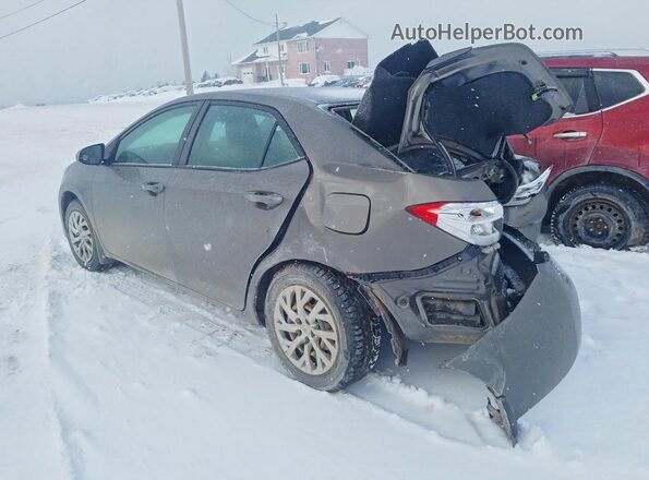 2T1BURHEXHC823442 2017 TOYOTA COROLLA Серый Задняя левая четверть