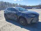 2025 Lexus Nx 250 Base Gray vin: 2T2ADCAZ0SC020356