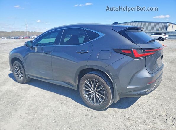2T2ADCAZ0SC020356 2025 LEXUS NX Gray Задня ліва чверть