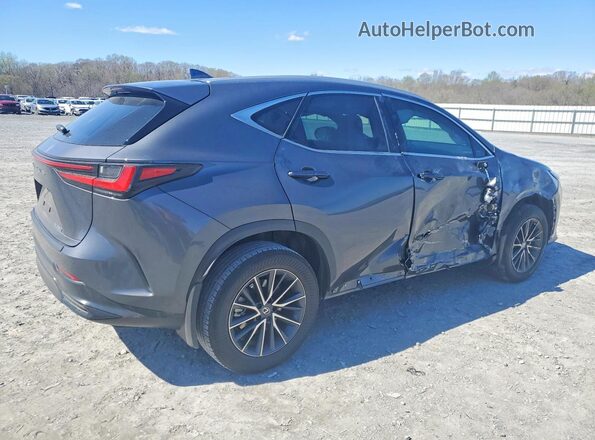 2T2ADCAZ0SC020356 2025 LEXUS NX Gray Задня права чверть