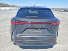 2025 Lexus Nx 250 Base Gray vin: 2T2ADCAZ0SC020356