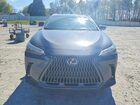 2025 Lexus Nx 250 Base Gray vin: 2T2ADCAZ0SC020356