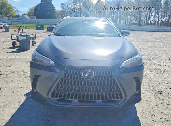 2T2ADCAZ0SC020356 2025 LEXUS NX Gray Вид спереду