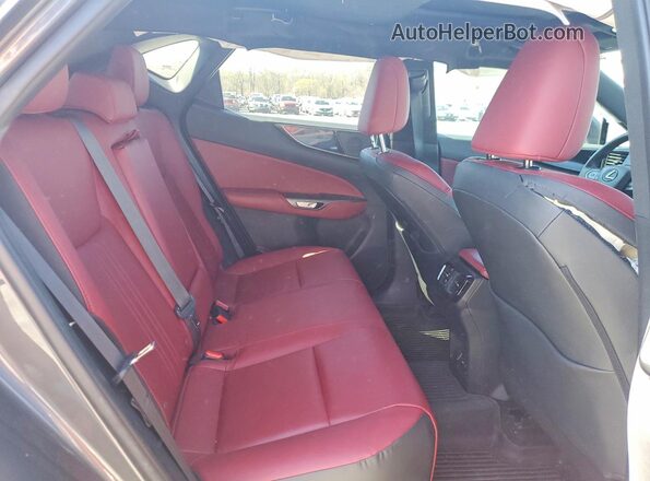2T2ADCAZ0SC020356 2025 LEXUS NX Gray Вид задніх сидінь