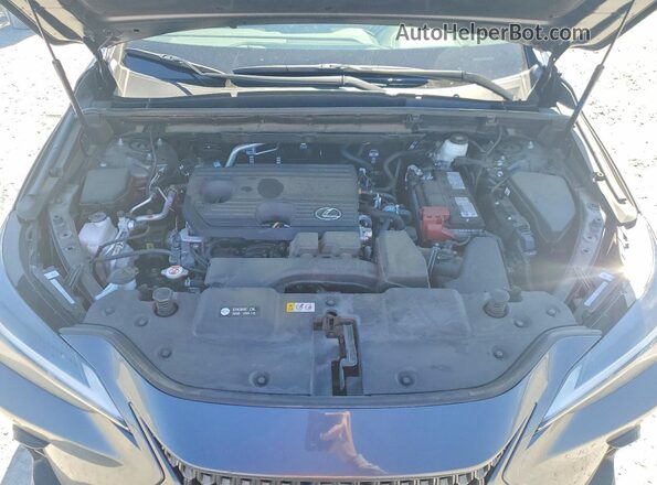 2T2ADCAZ0SC020356 2025 LEXUS NX Gray Вид задньої частини салону