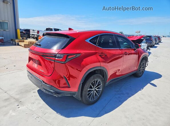 2T2ADCAZ1PC005453 2023 LEXUS NX Red Задня права чверть