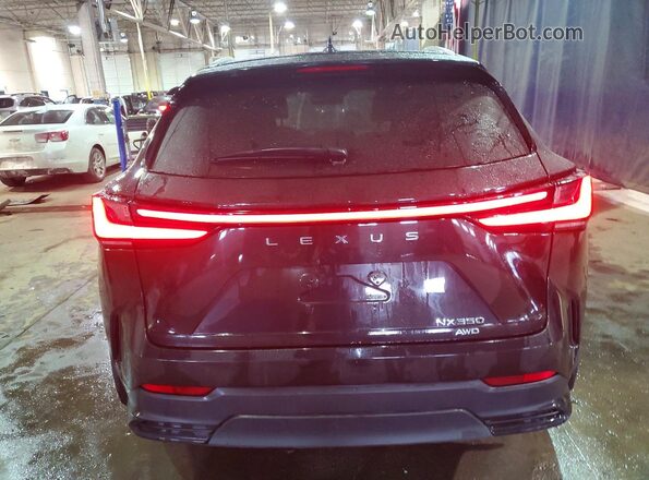 2T2AGCEZ2RC055136 2024 LEXUS NX Black უკანა ხედი