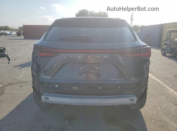 2T2AGCEZ7RC034914 2024 LEXUS NX Угольный Вид сзади