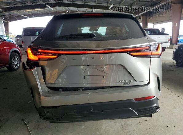 2T2AGCEZ9PC020381 2023 LEXUS NX Gray Rear view