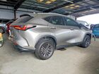 2023 Lexus Nx 350 Gray vin: 2T2AGCEZ9PC020381