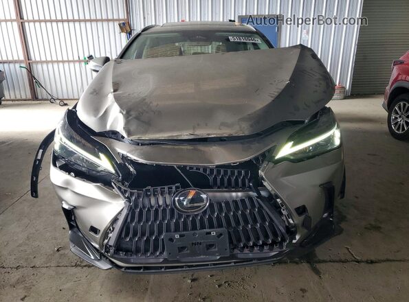 2T2AGCEZ9PC020381 2023 LEXUS NX Gray Front view