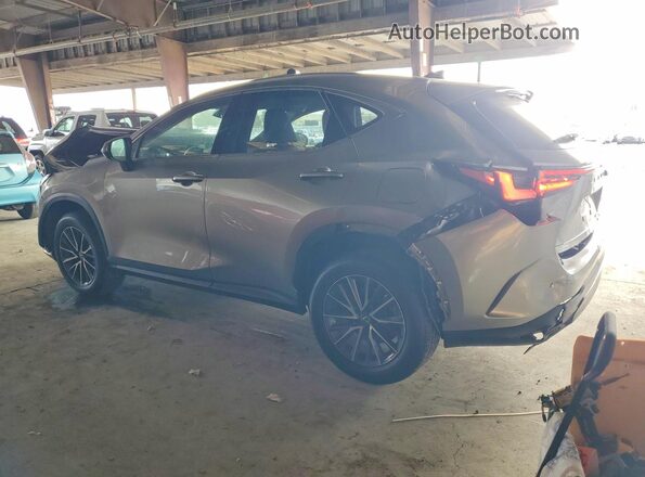 2T2AGCEZ9PC020381 2023 LEXUS NX Gray Rear left