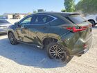 2024 Lexus Nx 350h Base Green vin: 2T2AKCEZ6RC022669