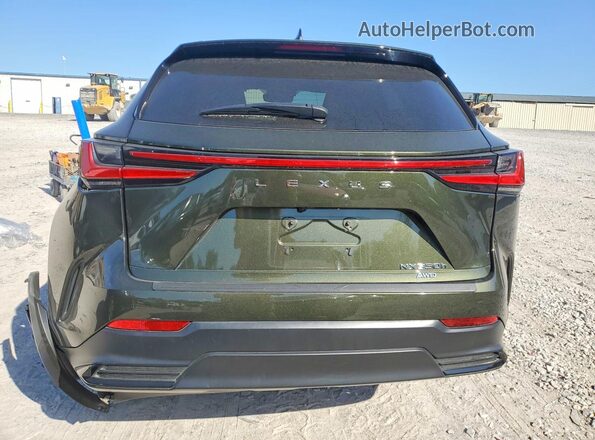 2T2AKCEZ6RC022669 2024 LEXUS NX Green Widok z tyłu