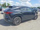 2024 Lexus Rx 350 Premium+ Black vin: 2T2BAMBA5RC027907