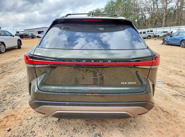 2T2BAMBA5RC032654 2024 LEXUS RX Green Widok z tyłu