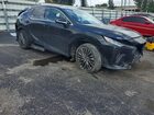 2023 Lexus Rx 350 Luxury Black vin: 2T2BAMBA6PC004133 2023 Lexus Rx 350 Luxury Black vin: 2T2BAMBA6PC004133