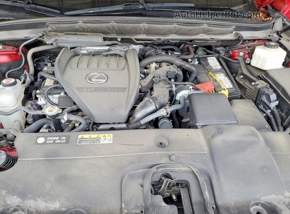 2T2BAMBA9PC008189 2023 LEXUS RX Красный Вид задней части салона