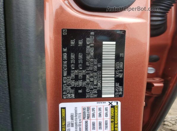 2T2BAMCA2TC132152 2026 LEXUS RX Orange VIN sticker view