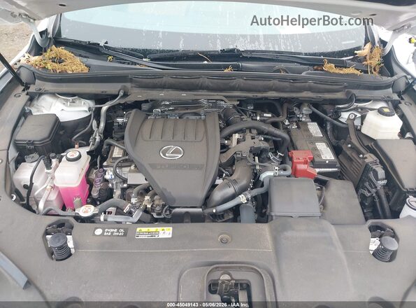2T2BAMCA3RC039567 2024 LEXUS RX 350 Белый Вид сзади