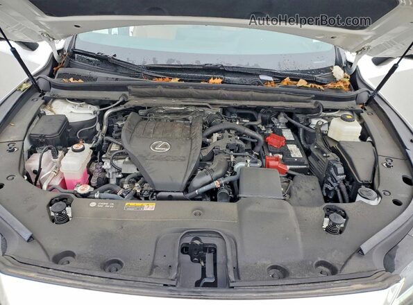 2T2BAMCA3RC072102 2024 LEXUS RX White Engine compartment view