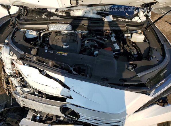 2T2BAMCA3RC302091 2024 LEXUS RX Белый Вид подкапотного пространства