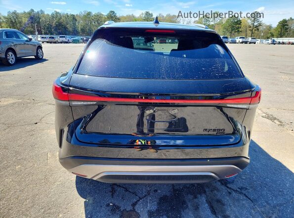2T2BAMCA3SC115603 2025 LEXUS RX Black Widok z tyłu