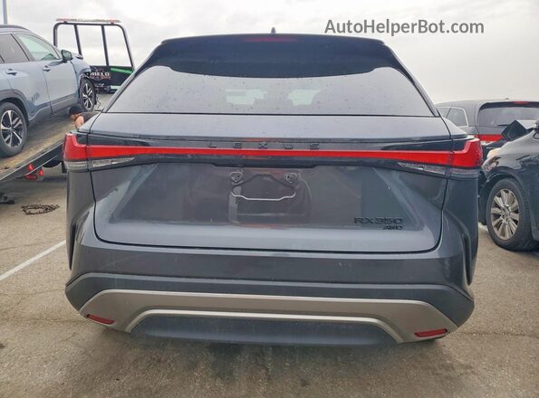 2T2BAMCA7SC111179 2025 LEXUS RX Серый Вид сзади