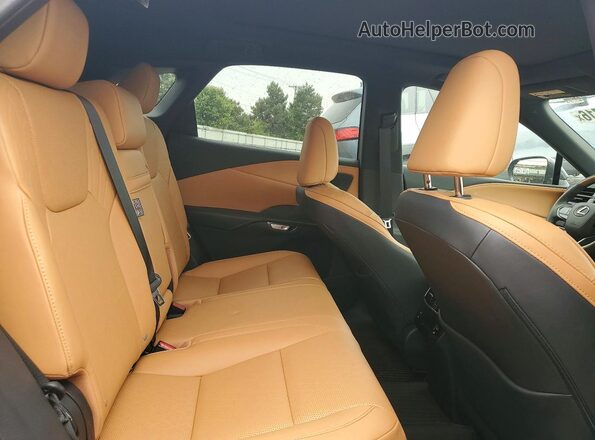 2T2BAMCA7SC111179 2025 LEXUS RX Серый Вид задней части салона