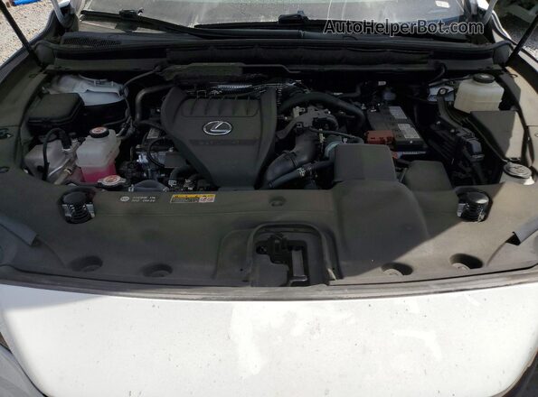 2T2BAMCA8RC064674 2024 LEXUS RX Белый Вид подкапотного пространства