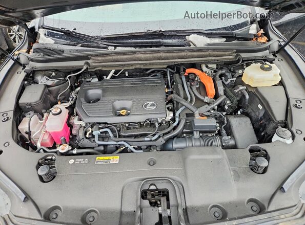 2T2BBMCA1SC070531 2025 LEXUS RX Черный Вид подкапотного пространства