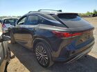 2024 Lexus Rx 350h Premium+ Black vin: 2T2BBMCA2RC023907